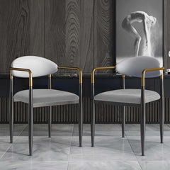 Modern Velvet Arm Chair Set - Solid Back, Metal Legs Main Product Image