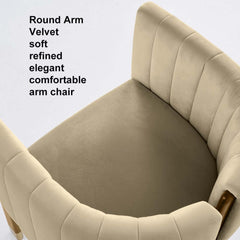 Modern Velvet Barrel Chair With Birch Legs