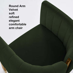 Modern Velvet Barrel Chair With Birch Legs
