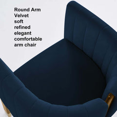 Modern Velvet Barrel Chair With Birch Legs