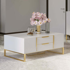Modern White Coffee Table With Gold Sled Base And Storage