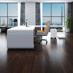 Modern White Executive Desk with Stainless Steel Base