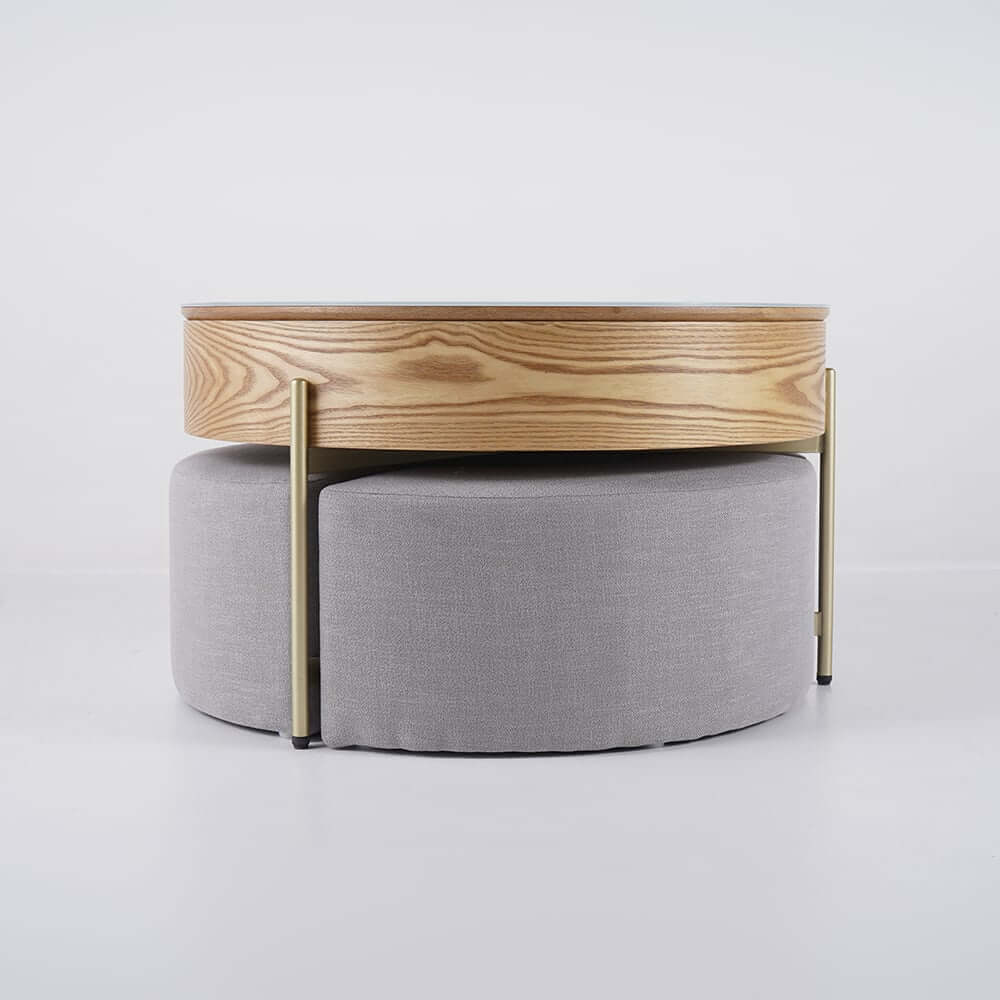 Modern White Lift-Top Coffee Table With Storage, Gold Base