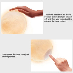 Modern White Resin Animal Sculpture with Moon Lamp, Vertical Floor Decor