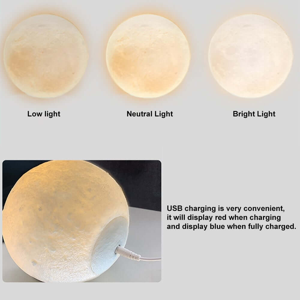 Modern White Resin Animal Sculpture with Moon Lamp, Vertical Floor Decor