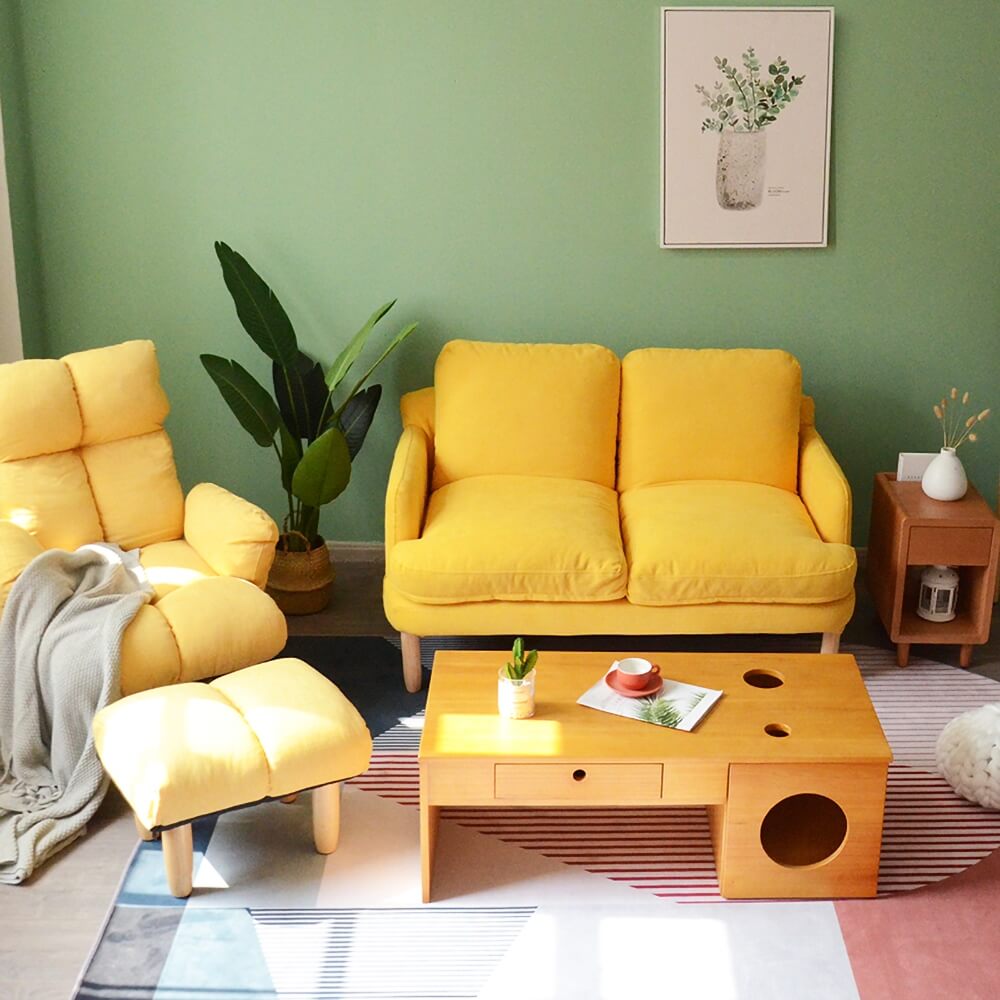 Modern Wood Coffee Table With Drawer And Pet Design