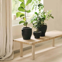 Natural Rattan and Ash Wood Backless Bench in Japandi Style