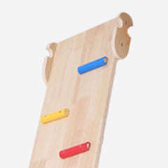 Rainbow-Hued Solid Wood Climber with Slide & Swing for Ages 5–8