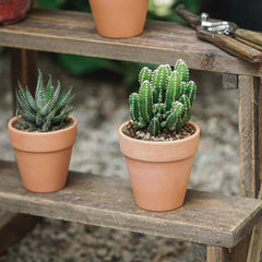 Rustic Distressed Brown Wooden 3-Layer Ladder Plant Stand