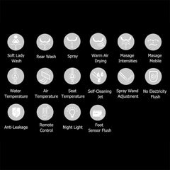 Smart Bidet Toilet with Heated Seat and Auto Flush Features