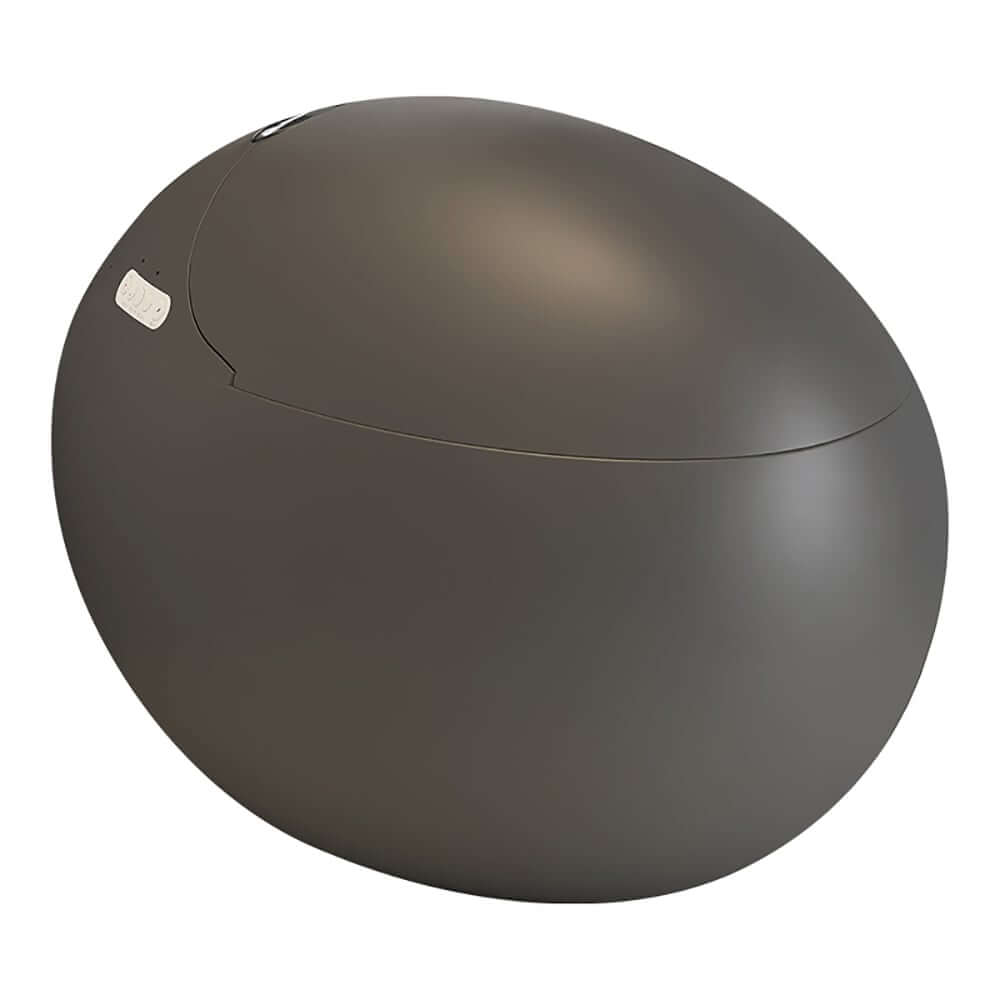 Smart Elongated Bidet Toilet with Adjustable Heated Seat and Auto Flush