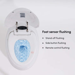 Smart Elongated Bidet Toilet with Adjustable Heated Seat and Auto Flush