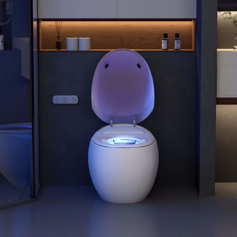 Smart One-Piece Toilet with Heated Seat and Dual Flush Technology