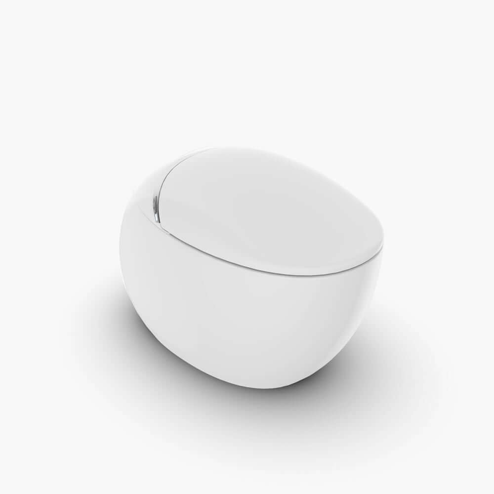 Smart One-Piece Toilet with Heated Seat and Dual Flush Technology