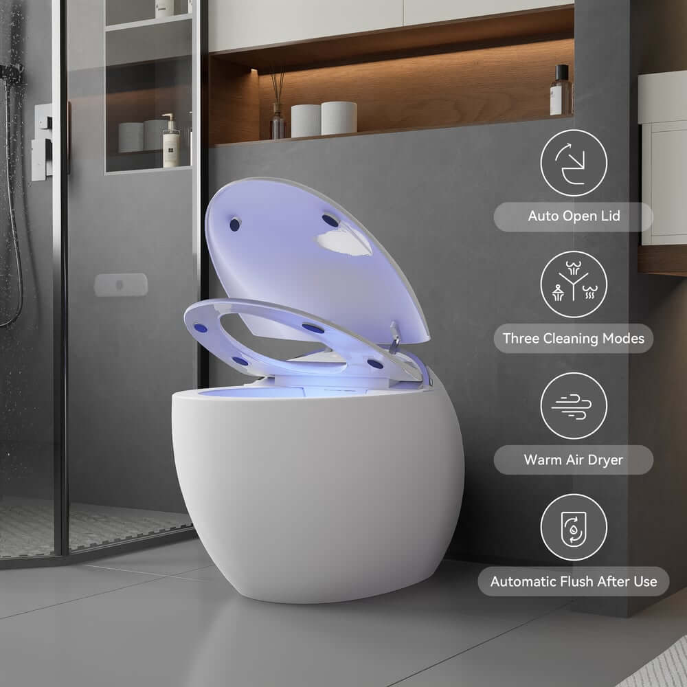 Smart One-Piece Toilet with Heated Seat and Dual Flush Technology